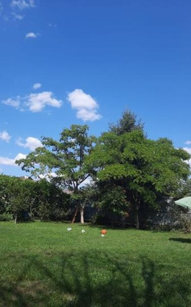 Trapezului Vand teren intravilan in zona Drumul Lunca Prutului