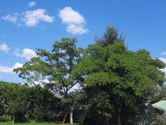 Trapezului Vand teren intravilan in zona Drumul Lunca Prutului