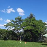 Trapezului Vand teren intravilan in zona Drumul Lunca Prutului